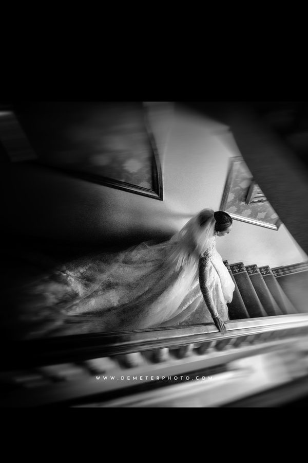 Fotografie de nuntă Demeter Studios